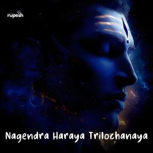 Nagendra Haraya Trilochanaya
