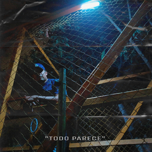 Todo Parece