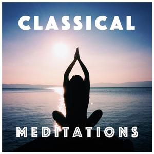 The Carnival of the Animals: XIII. The Swan