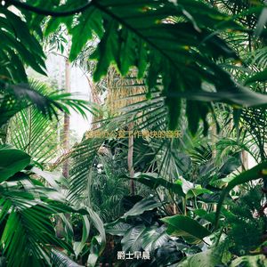 在家里工作时尚的波萨诺伐舞曲