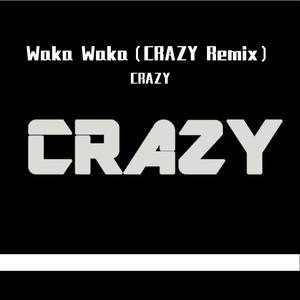 Waka Waka DJ's-Waka Waka（CRAZY Remix）（CRAZY remix）