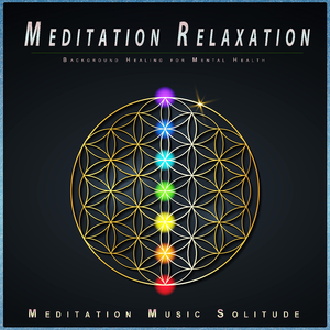 Relaxing Wellness and Guitar Music