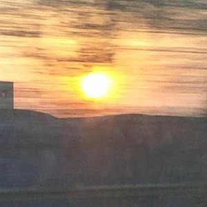 Otokaze-Mallow Flower Remix（崔矢狐 remix）