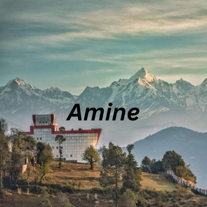 Amine