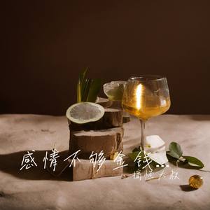 感情不够金钱凑