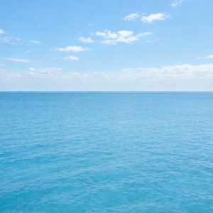 失约海2.0（翻唱）