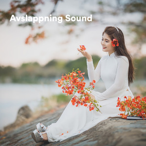 Teachings in the Light