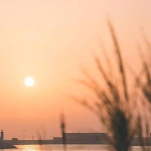 0484_9000_01cb_87f87af0652bdcb61578eae1ae58d190