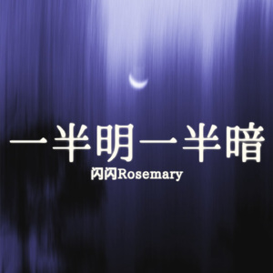 一半明一半暗