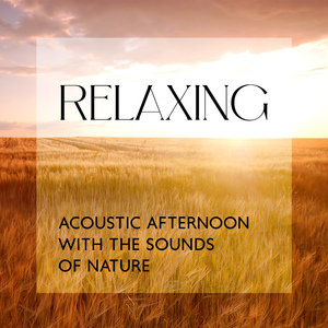 Relaxing Acoustic