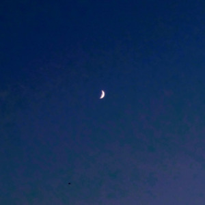 杜の都エレジー (2025 Remaster)