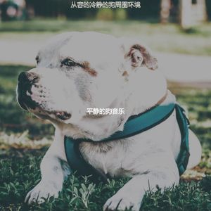 抚慰的小狗回忆