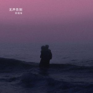 无声告别