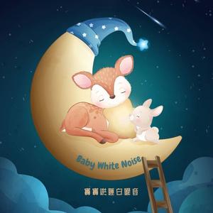 夜晚虫鸣 自然白噪音