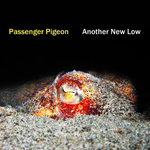 We must respect their beliefs even as they lower us into volcanoes.