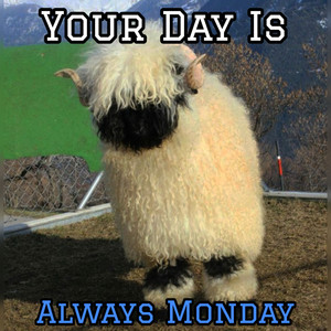 Your Day Is Always Monday
