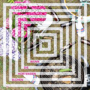 Wenn die Hortensien blühen