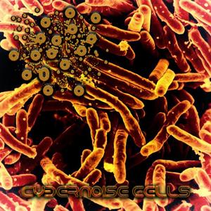 The Strength Of The Gonococcus
