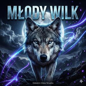 MŁODY WILK