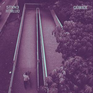 Catwalk (feat. HTML)