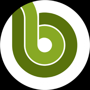 Virgo (Original Mix)