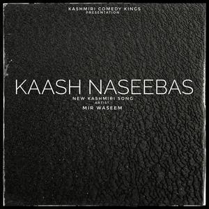 KAASH NASEEBAS (feat. Muzic MH) [with Farwa bhat]