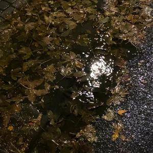 A rainy day in Reykjavík