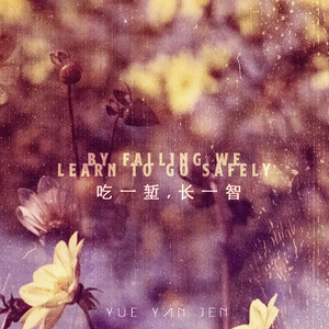 吃一堑,长一智 - By falling we learn to go safely