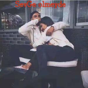 SevGe olmeyde电子现场