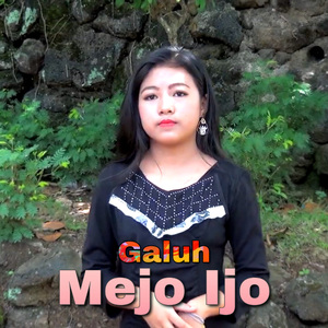 Mejo Ijo