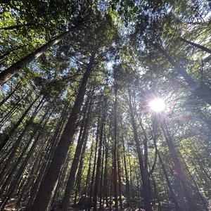 fourfive (feat. heroinsick & mintedzerosix)