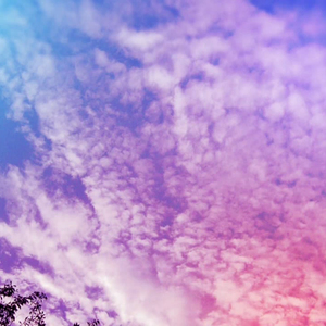 致姗姗来迟的你