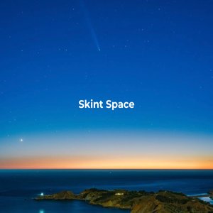 Skint Space