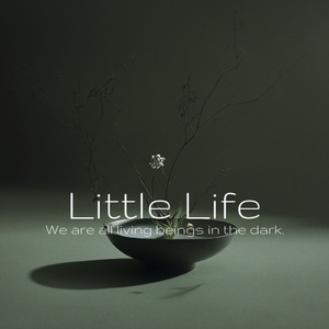 Little Life