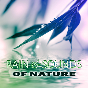 New Age for Insomnia