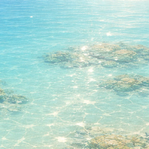 Gentle Bayside Quietude