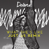 Delena - What She's Like [Just Us Remix Edit]