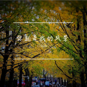 你就是我的风景