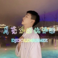 野味混合 (DJ版)