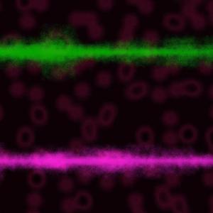 Underground Politics