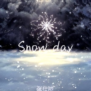 我期待的不是雪