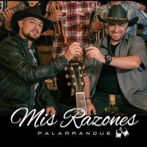 Mis razones