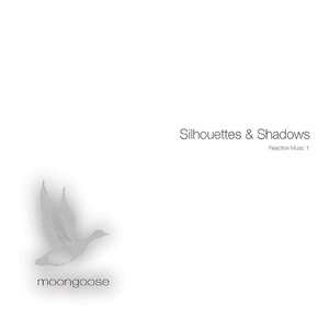 Stepping Into Shadow