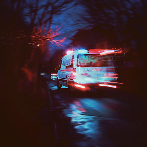 FLOWERS ARE BLOOMING IN ANTARCTICA (Slowed)