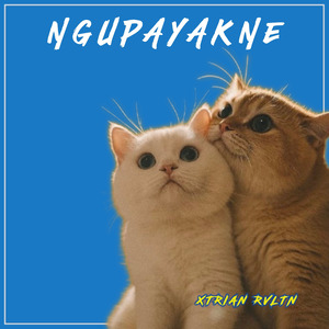Ngupayakne