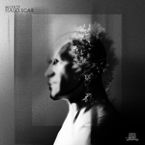 HALO SCAR