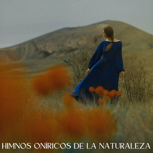 Las Cigarras De Fondo Calmante