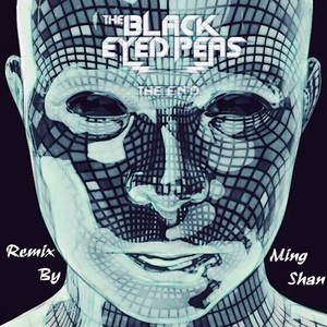 Black Eyed Peas - I Gotta Feeling