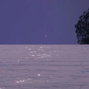 Hypocritical capital