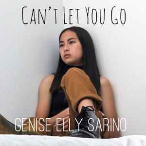 Can't Let You Go